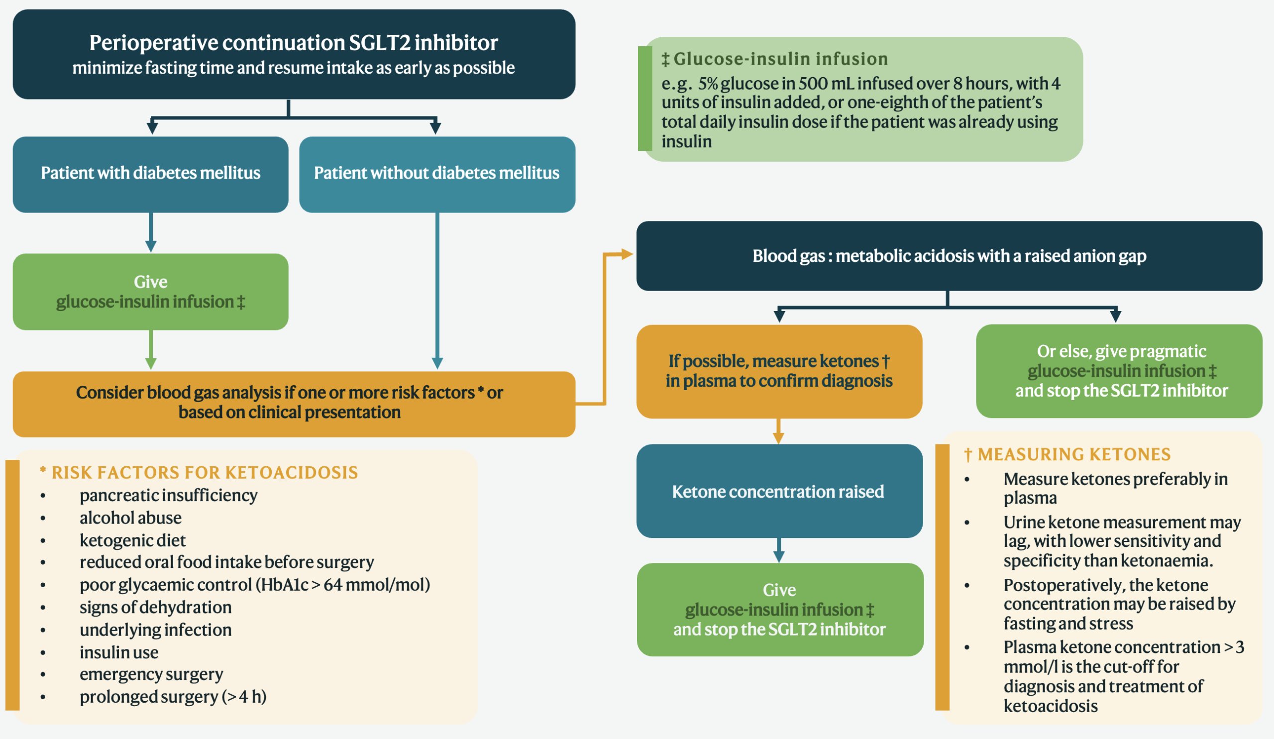 Flow diagram for perioperative continuation of an SGLT2 inhibitor: branch by diabetes status, consider blood gas if risk factors for ketoacidosis are present, measure plasma ketones to confirm, and give a glucose-insulin infusion and stop the SGLT2 inhibitor if ketones are raised.