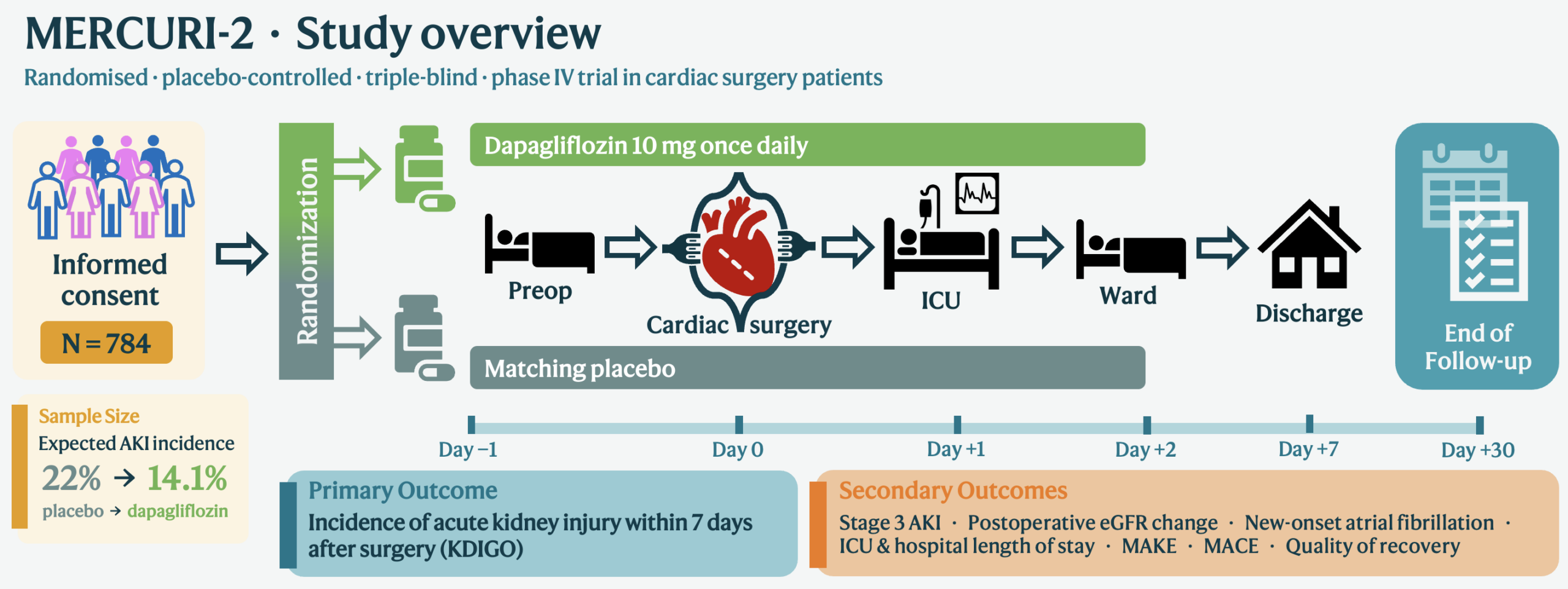 MERCURI-2 study overview diagram