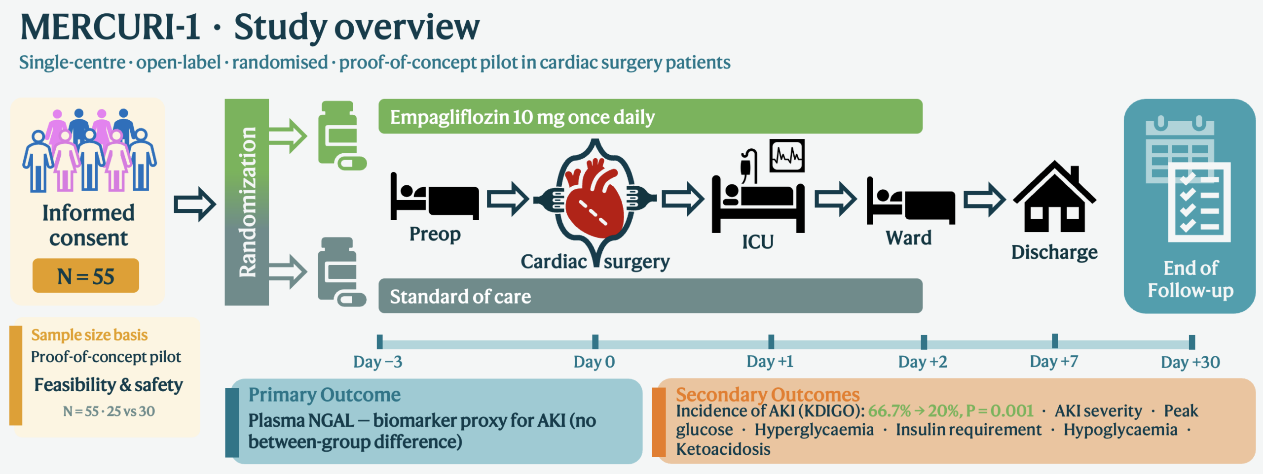 MERCURI-1 study overview diagram